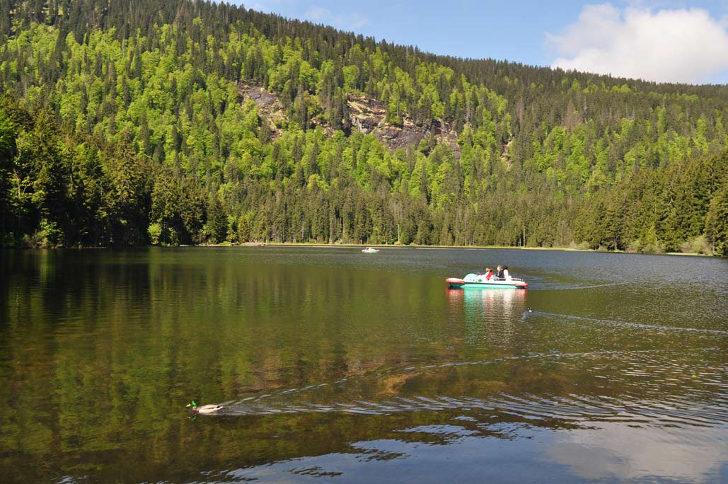 DSC_0188.jpg