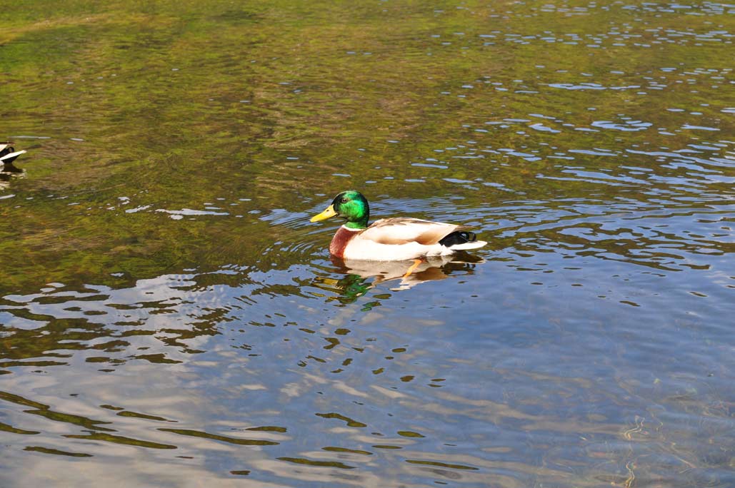 DSC_0205.jpg