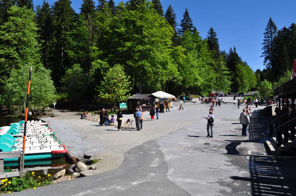 DSC_0250.jpg