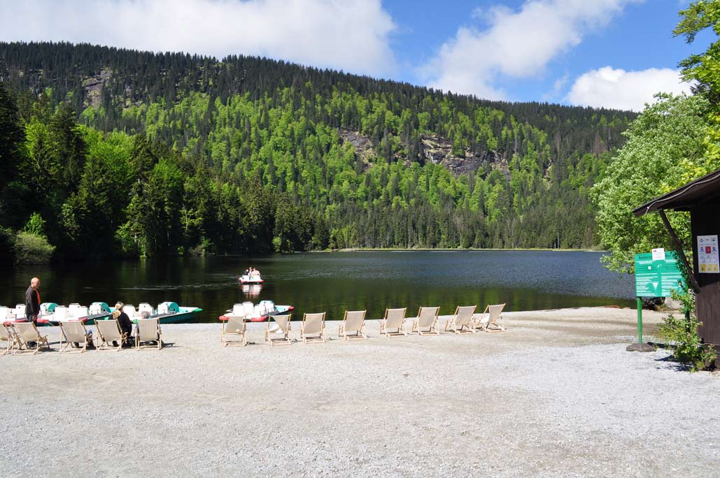 DSC_0260.jpg