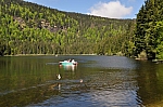 DSC_0194.jpg