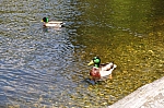 DSC_0201.jpg