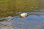 DSC_0205.jpg