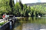 DSC_0215.jpg