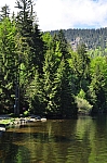 DSC_0218.jpg