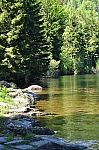 DSC_0225.jpg