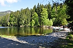 DSC_0235.jpg