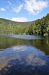 DSC_0243.jpg