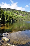 DSC_0245.jpg