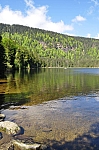 DSC_0246.jpg