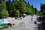 DSC_0250.jpg
