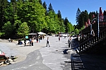 DSC_0251.jpg