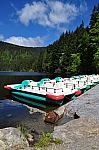 DSC_0252.jpg