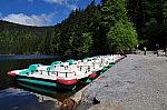 DSC_0253.jpg