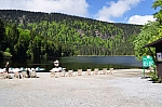 DSC_0260.jpg