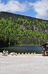 DSC_0266.jpg