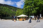 DSC_0267.jpg
