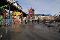 DSC_7826.jpg