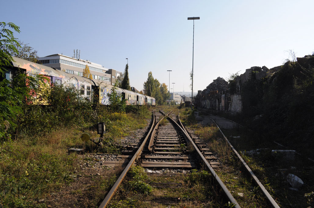 DSC_0203.jpg