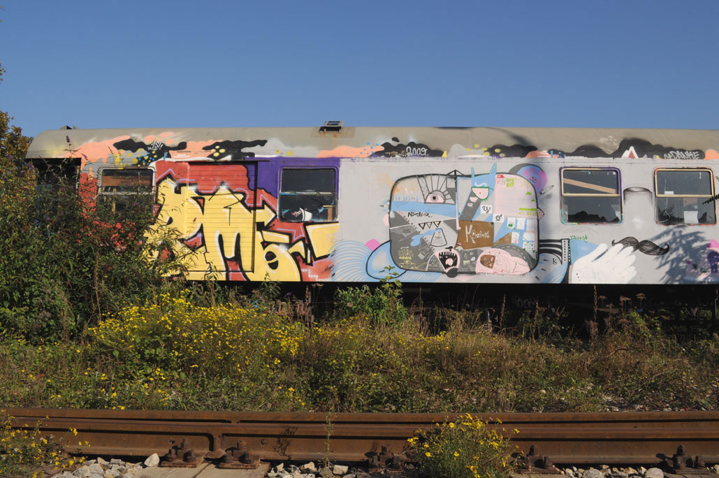 DSC_0204.jpg