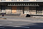 DSC_0100.jpg