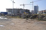 DSC_0151.jpg