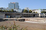 DSC_0157.jpg
