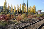 DSC_0194.jpg