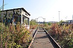 DSC_0198.jpg