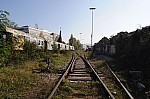 DSC_0203.jpg