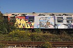 DSC_0204.jpg