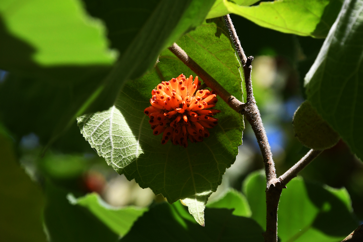 DSC_0288.jpg