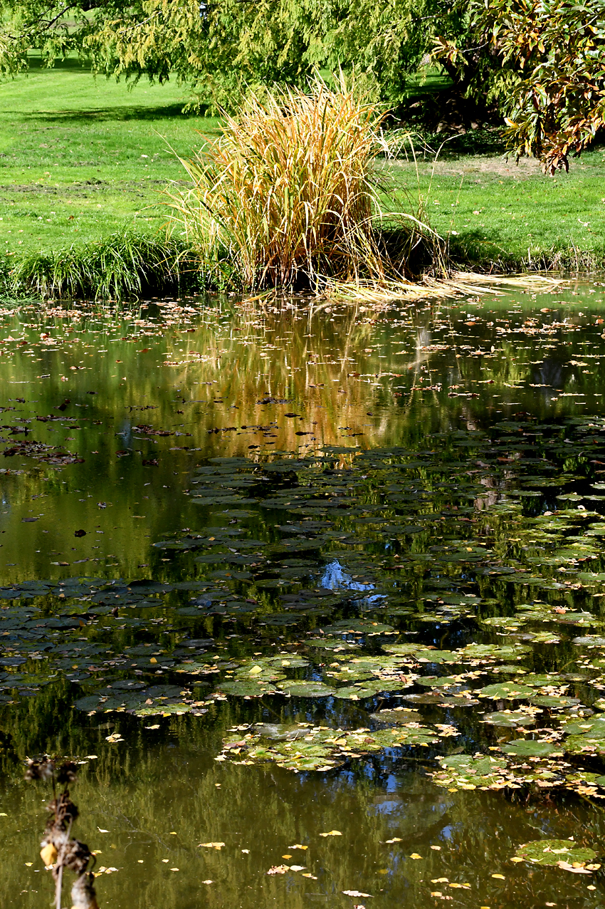 DSC_0351.jpg