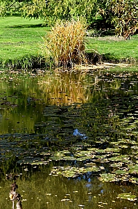 DSC_0351.jpg