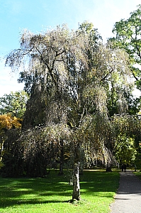 DSC_0358.jpg