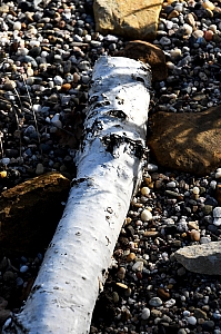 DSC_0374.jpg