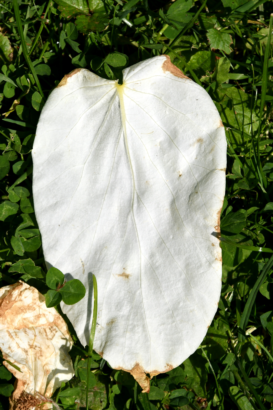 DSC_0618-web.jpg