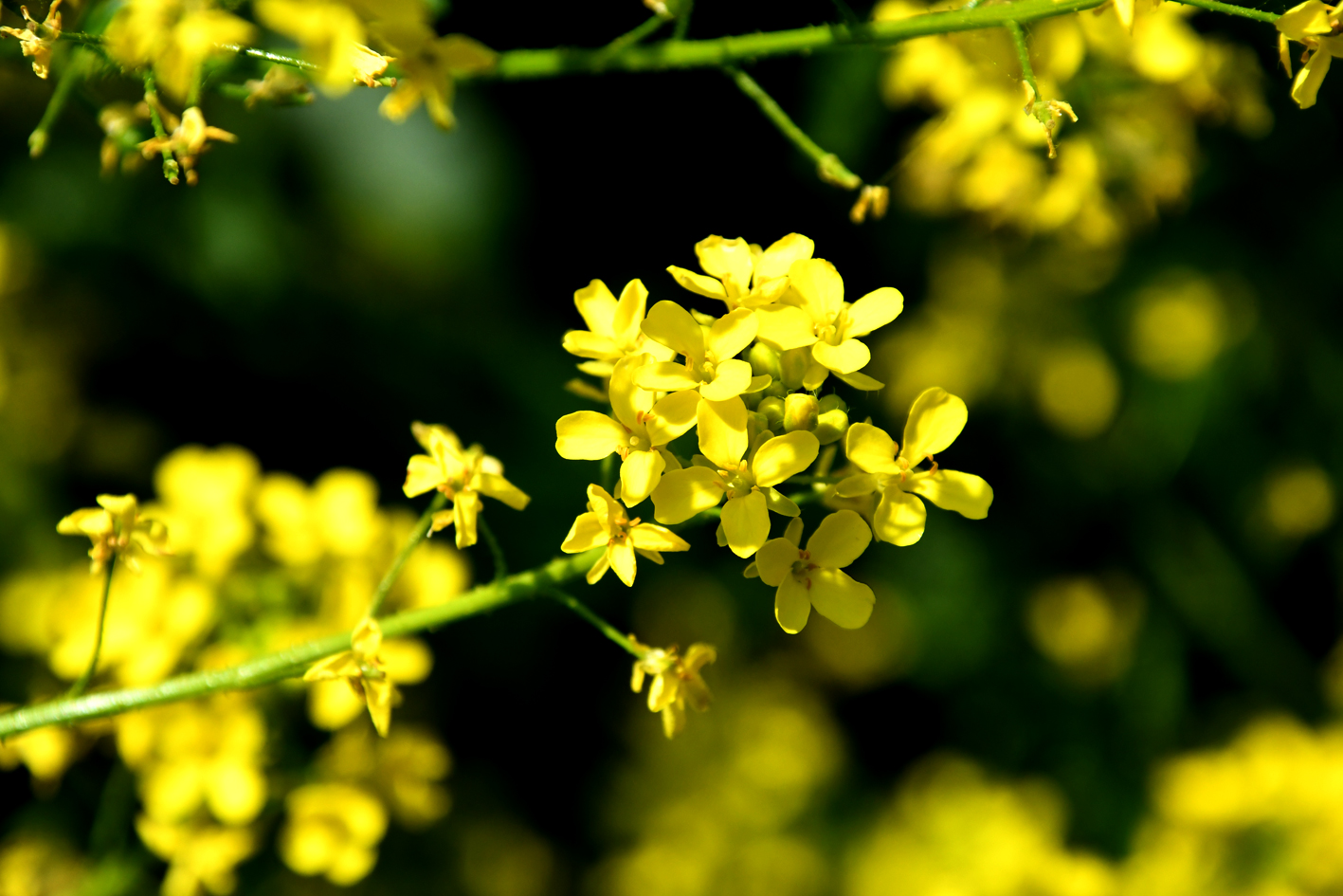 DSC_0640-web.jpg