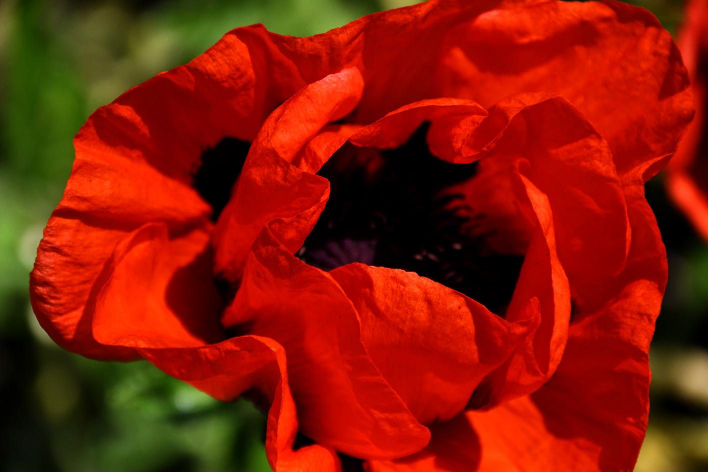 DSC_0655-web.jpg
