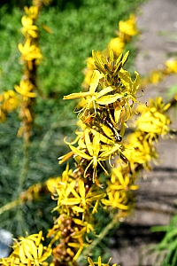 DSC_0622-web.jpg