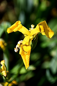 DSC_0627-web.jpg