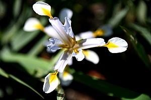 DSC_0629-web.jpg