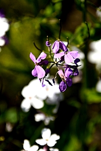 DSC_0643-web.jpg
