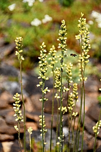 DSC_0660-web.jpg