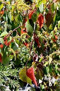 DSC_0674-web.jpg