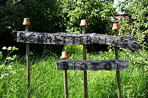 DSC_0675-web.jpg