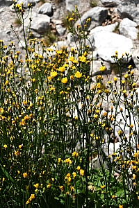 DSC_0677-web.jpg
