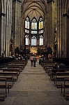 DSC_0788.jpg