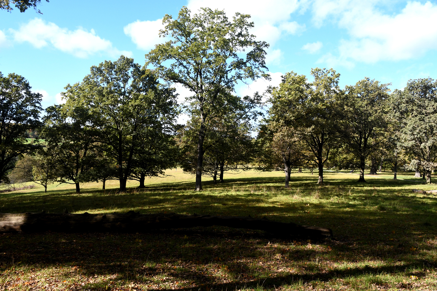 DSC_1166-web.jpg