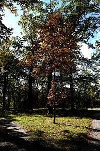DSC_1159-web.jpg